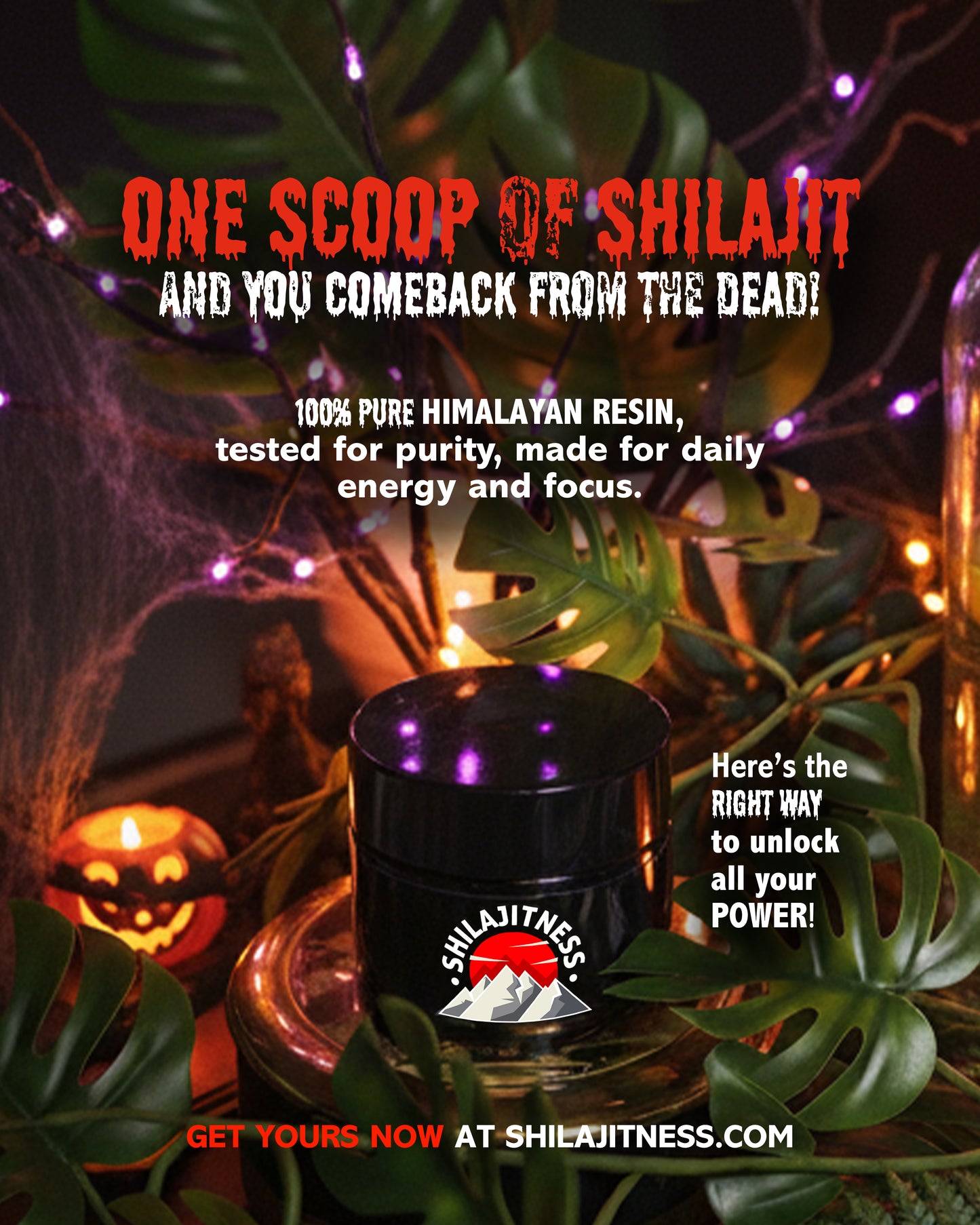 Pure Shilajit Resin