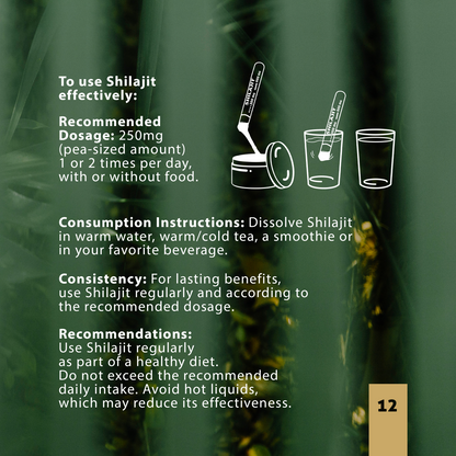 Pure Shilajit Resin