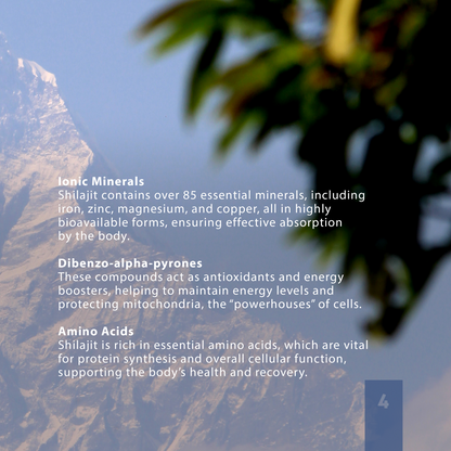 Pure Shilajit Resin