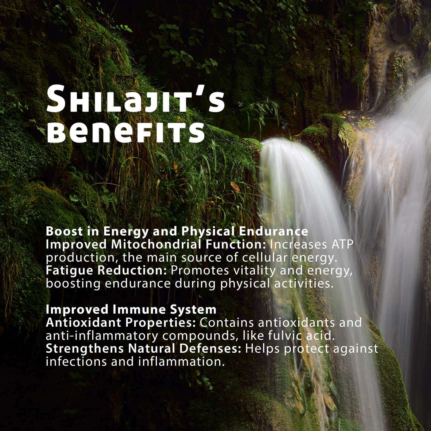 Pure Shilajit Resin