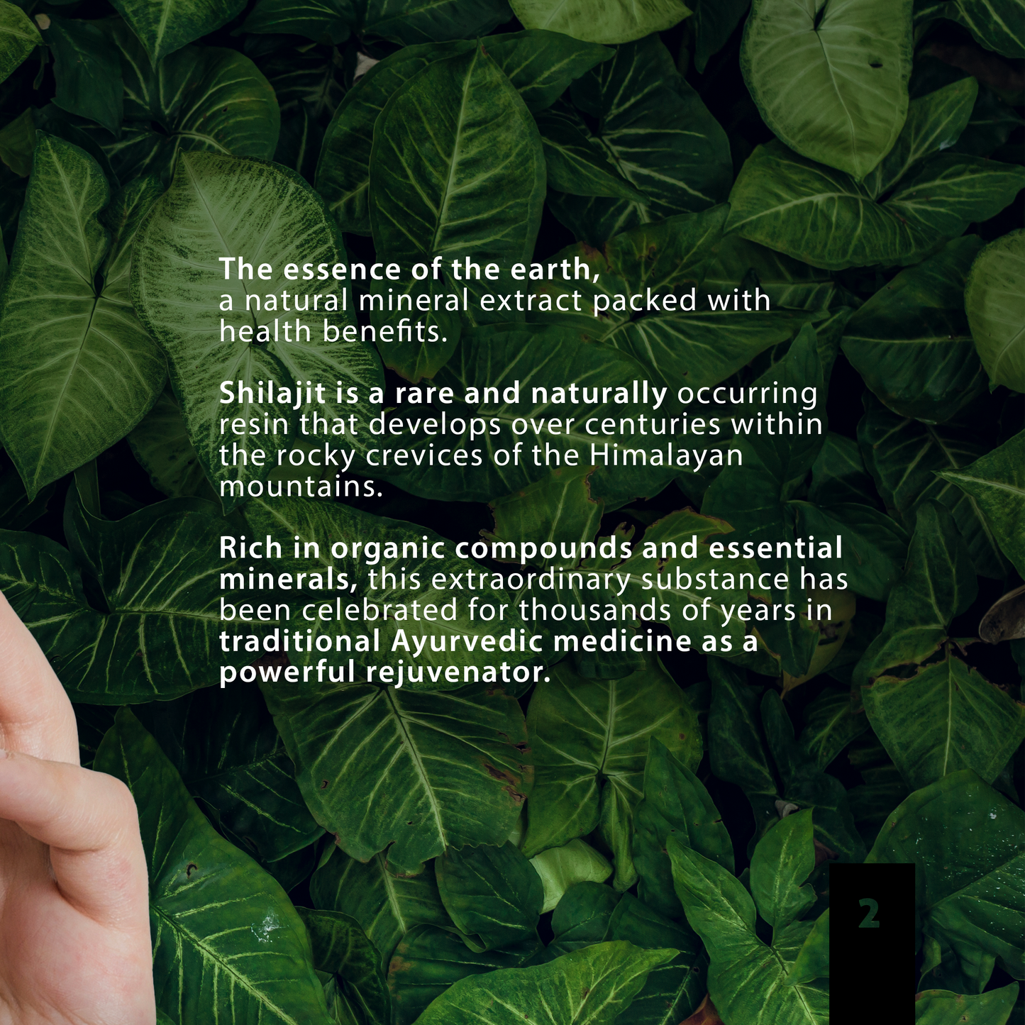 Pure Shilajit Resin